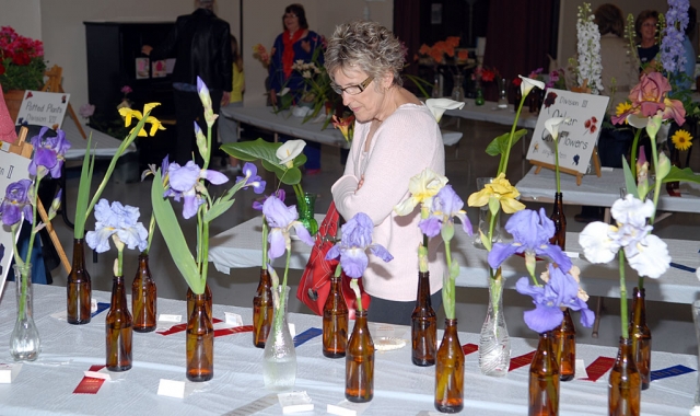 The Fillmore Flower Show 2010 is now only a fragrant memory, but many exclamations of appreciation were heard as people wandered among the lovely flower displays while listening to music by Asher Smith on Saturday. This year there was a new division for youth composition with the show theme of “Spring Fever in Fillmore”. Best of Show winner was Charlene Smith with a magnifi cent pink peony oriental style arrangement. Grand Prize winners were Div. I Single Stem Cut Roses: Julie Latshaw with “Vavoom”; Div. II Single Stem Cut Iris: Lois Freeman Fox with purple & white bearded iris; Div. III Other Single Stem Cut Flowers: Rachel Tovar with a blue delphinium; Div. IV Bouquets: Carmen Zermeno with callas; Div. V Arrangements: Charlene Smith with peony oriental arrangement; Div VI Miniature Arrangements: Lauren Fairall with tiny pink rosebuds in china creamer; Div. VII Potted Plants: Mark Ortega with a silver jade plant; Div. VIII Dish Gardens: Susan Hopkins with succulents; Div. IX Youth Arrangements: Timmy Klittich with an Indian artifact theme; Div. X Youth Composition: Lauren Fairall with a poem on the show theme, “Spring Fever in Fillmore”. Civic Pride Vision 2020 wishes to thank the many who participated by entering their exhibits and those who generously donated their time, & energy to set up, categorize & receive entries, “man” the tables, supervise, propagate plants for donations and then stayed for “breakdown”. Door prize roses and roses for decoration & sale were provided by Otto & Sons Nursery, yellow cymbidiums orchids were donated by Carolyn Lasky, a fl oral arrangement by Cindy Zanotti, and lush, fruit baskets by the King & King Ranch.