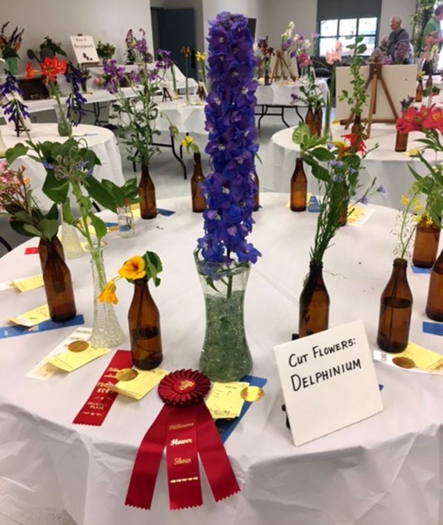 Pictured are entries from last year’s flower show. Courtesy Jan Lee.