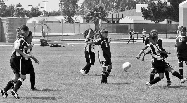 Fillmore U-8 Dream Girls took 3rd place in Oxnard Pal Summer Cup 2009. The girls participated in summer long tournament in Oxnard. They advance to the semi-finals. In a very close game Fillmore looses 3-2 to Club Nacional. The girls would like to thank coach Ram Tovias, Joe Magana and Filiberto Magana for their time, commitment and encouragement. Also, a huge thanks to Val-U Electric for sponsoring the tournament.