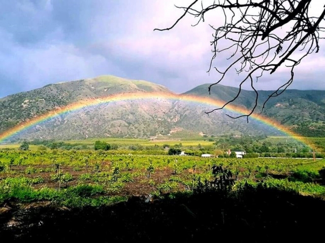 A rainbow arched over Grand Avenue after last week’s rain. Courtesy Michele Carrillo.