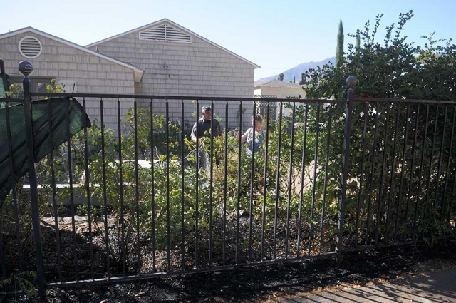 The fire call came in just before 2:37 p.m. at Second Street and Saratoga. When I arrived at the scene, our Fillmore Fire Department, with 5 eager hands were standing by. They could see that neighbor Ray Medrano had things well in hand. He had run to the garden hose and proceeded to douse the flames. Only a little smoking remnants were to be seen. Thanks to our Fire Department for being so quick to the scene, and thanks to Ray Medrano, a good neighbor to be sure.