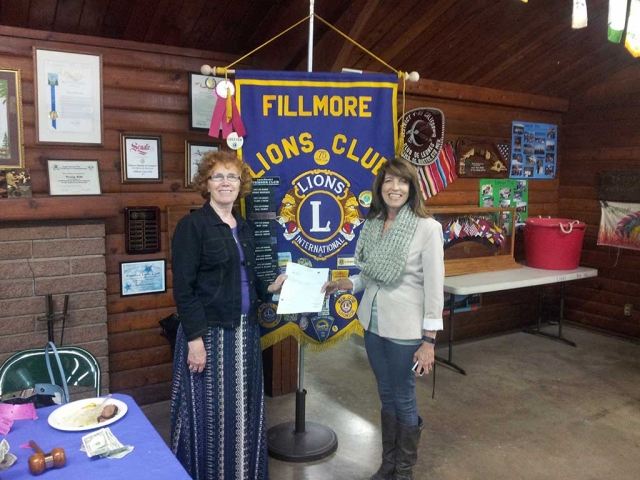 Fillmore community support organization 