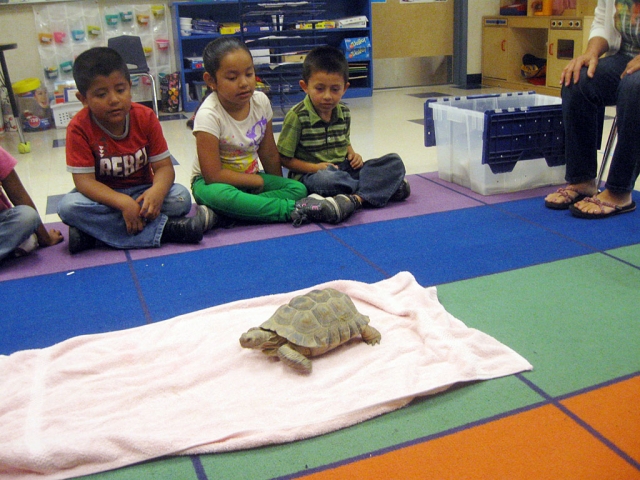 Aimee thrilled the students with a turtle.