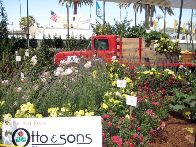 Otto & Sons Nursery’s at the Ventura County Fair.