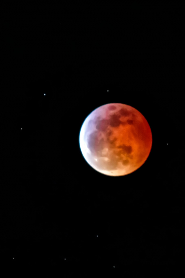 Photo of the Week "Super Blood Wolf Moon Eclipse" by Bob Crum. Photo data: Canon 7DMKII camera, Tamron 300mm lens with Tamron 1.4X telephoto converter, exposure; ISO 6400, aperture f/11, shutter speed 2 seconds.