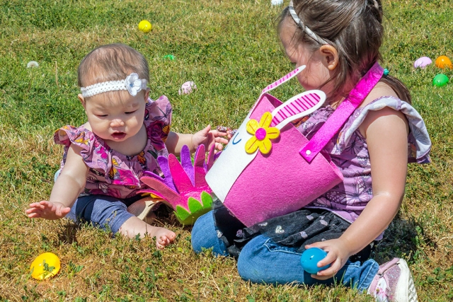 Photo of the Week "In a field of eggs, toddler reaches for the golden Easter egg" by Bob Crum. Photo data: Canon 7DMKII camera, manual mode, Tamron 16-300mm lens @52mm. Exposure: ISO 200, aperture f/11, shutter speed 1/400th second.