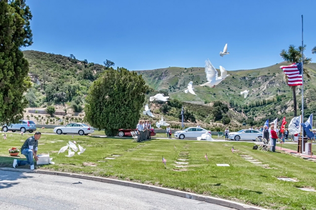 Photo of the Week "Released doves fly home from the Bardsdale Cemetery Memorial Day Service" by Bob Crum. Photo data: Canon 7DMKII, manual mode, Tamron 16-300mm lens @16mm. Exposure; ISO 500, aperture f/11 and 1/320 of a second.