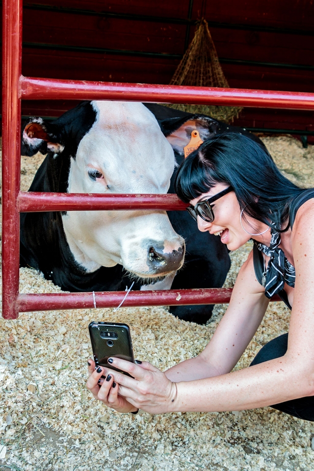 Photo of the Week "Woman takes selfie with steer at the Fair" by Bob Crum. Photo data: Canon 7D Mark II camera manual mode, ISO 160, Tamron 16-300mm lens @24mm, aperture f/4.5, 1/80 second shutter speed.