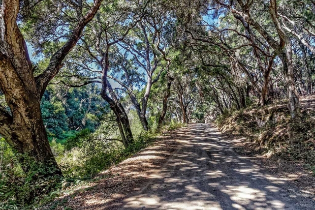 Photo of the Week "A delightful country road: Prefumo Canyon Road from See Canyon Road to San Luis Obispo." by Bob Crum. Photo data: ISO 1000, 16-300mm lens @16mm, f/10 @ 1/60 seconds.
