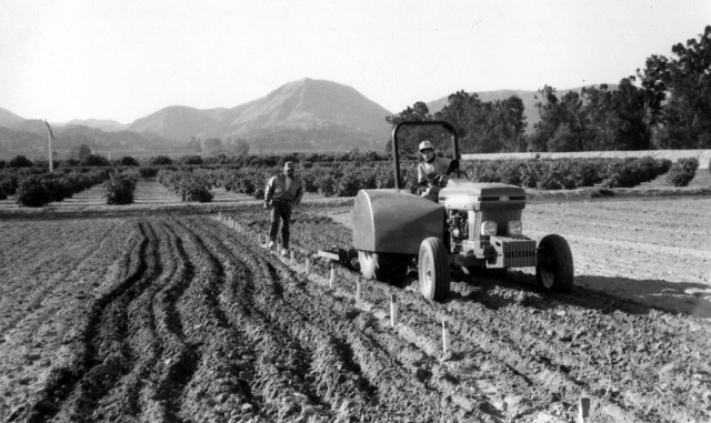 Photo of the Week from the Gazette History Archives. Can you identify this photo or any of the people in it? If so, please add any information about this photograph in the comments section provided at the bottom of this posting. Thank You.