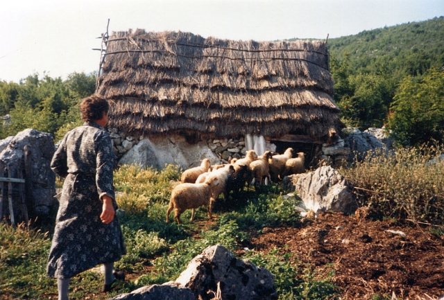 Medjugorje, former Yugoslavia, out in the Grm- bush- in 1988.