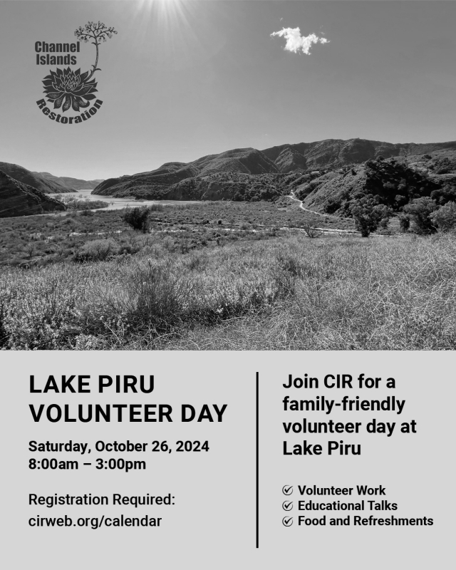 Mark your calendars for Saturday, October 26th
On Saturday, October 26, join the Channel Islands Restoration in a family-friendly volunteer day at Lake Piru, read full details below. Above is a photo looking south towards Fustero memorial. Courtesy Tasha Booth, Volunteer and Project Coordinator, Channel Islands Restoration.

