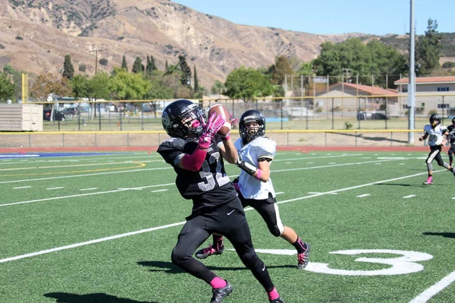 The Fillmore Raiders games this past weekend. Final Scores from Saturday, October 21st: Raiders Mighty Might Black vs Saugus, 16-8 (Saugus); Raiders Bantams vs LA City Ducks, 37-0, (Ducks); Raiders Freshman vs Oxnard Blue, 8-6 (Raiders); Raiders Sophomores vs Santa Barbara, 30-0 (Santa Barbara); Raiders Juniors vs Simi Valley Bulldogs, 42-14 (Bulldog); Raiders Seniors vs Camarillo Gold, 21-6 (Raiders). All Youth Raiders Football & Cheer photos courtesy Crystal Gurrola.