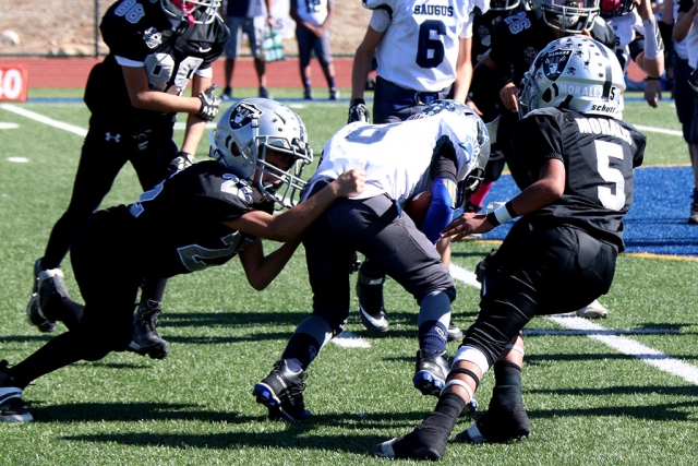 Fillmore Raiders Bantam Black’s #22 and #25 making a tackle in their game this past Saturday against Saugus.