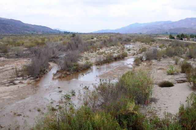 Saturday proved to be a day to remember in Fillmore and much of California. Record rains hit the area, an anomaly for July. Heavy thunderstorms and showers pounded the Santa Clara Valley, much needed in the drought stricken valley. The weather service issued flash flood advisories along the southern foothills of the Ventura County Mountains. Pictured is runoff from the storm in the Santa Clara River. Fillmore received .89 inches of rain as of Sunday night. South Mountain got .97 inches. Several power outages hit Fillmore due to lightening strikes. A major one occurred at 3:47 p.m. on July 18th. Five-hundred and three SoCal Edison customers were impacted. Service was restored on July 19th by 6:00 a.m.
