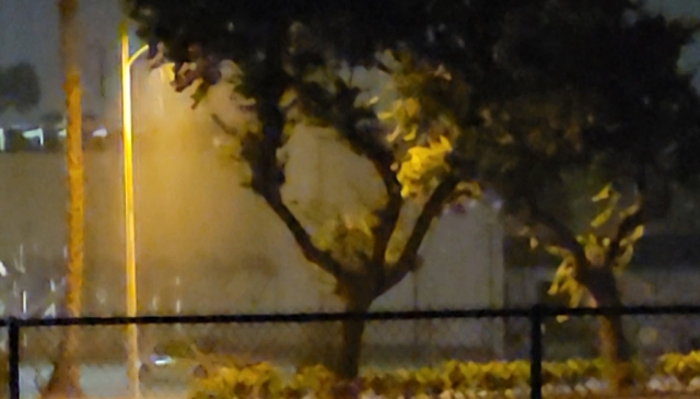 Fillmore got 0.18 of an inch of rain Monday evening, but it poured hard for a few minutes. Photo from Gazette front door shows heavy shower around streetlight on Sespe Avenue.