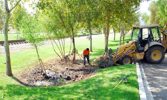 The Rain Garden at the corner of Old Telegraph Road and C Street got a much-needed cleaning out last week from a city crew. Trash, debris and overgrown plants had collected at the site.