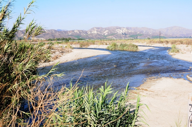 Water is being released from Lake Piru in significant amounts. The photos above show the water flow under the bridge across the Santa Clara River at Torrey Road, Piru.