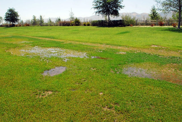 The condition of the park at Riverwalk needs some help. Large grass areas are flooded by damaged sprinklers and residents fear they have become a breeding area for mosquitoes.