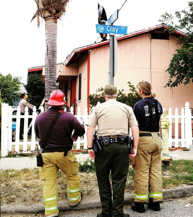 Last week the Fillmore Police and Fire Crews responded to calls about a man on a roof top at the corner of Clay and Ventura Street. No injuries were reported and crews were able to get the man down safely. Photo courtesy Fillmore Fire Department.