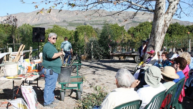 In the picture Mike Connell demonstrates pruning techniques to the enthusiastic crowd in the outdoor classroom. 