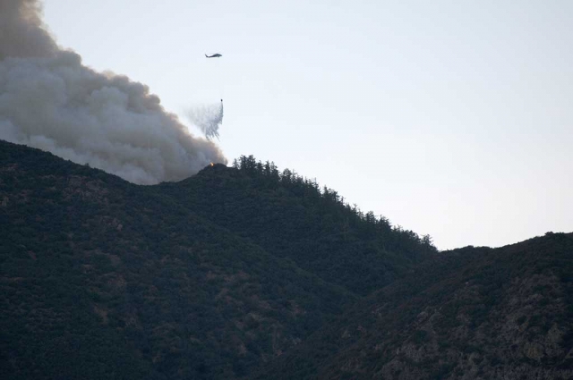 The Pine grove at the top of the Sespe Mountain ranged was saved this week from the Thomas Fire by repeated Phos-Chek Fire Retardant Class A Foam & Gel drops. Phos-Chek fire retardants are manufactured as dry powders or as concentrated liquids and diluted with water prior to use. The retardant is applied ahead of wildfires to homes and vegetation by ground crews and aerial firefighting units, either fixed-wing or rotary-wing aircraft. The Pines spring from the Bear Haven area on the north side of the mountain range.