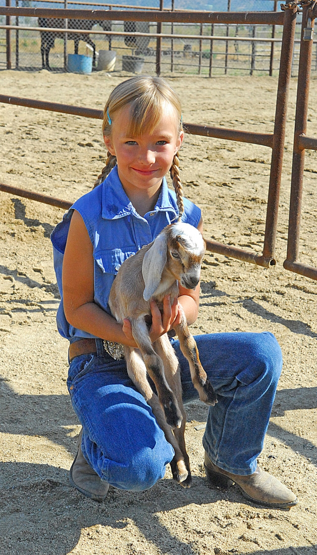 Practice showmanship took place Saturday at the school Farm. Pictured here is a young lady holding a newborn goat. The Gazette would appreciate it if all visitors and participants at the Farm would identify their photos for all to enjoy. A story on the pre-Ventura County Fair entrants will be posted Monday.

Identities of each person in the following photos will be posted as we receive them.