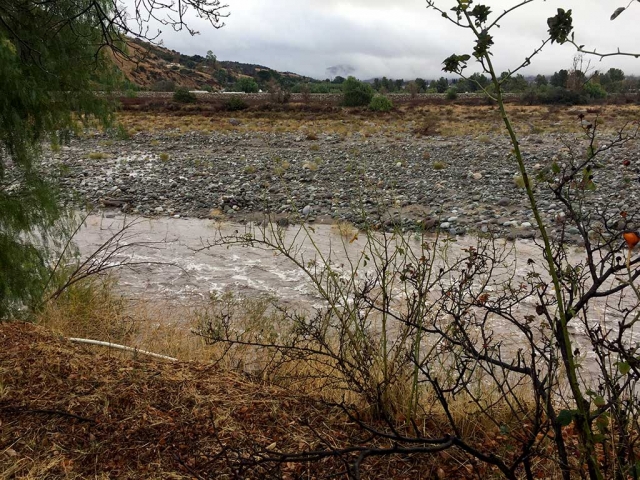 Above is a view of the Sespe Creek looking from Grand Avenue after a full night of rainfall from this past week’s storm.