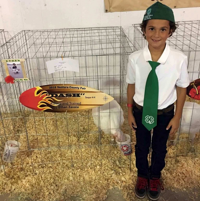 Sepse 4-H Primary Member Ethan Zavala placed 3rd Turkey at the Ventura County Fair.