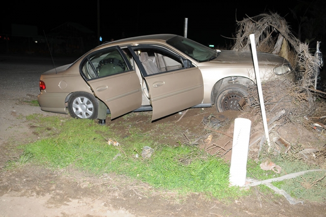 The shooting suspects crash the stolen getaway car into a Palm tree at Highway 126 and Old Telegraph Road, while leaving the crime scene. Photo by Fillmore Gazette staff.