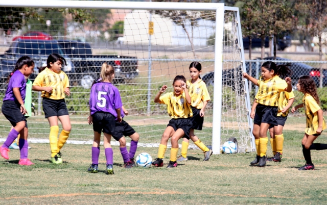 Two Rivers Park in Fillmore was busy this past Saturday with Fillmore’s AYSO Soccer in full swing. Pictured are the Scarlett Dragons vs. the Golden Dragons. Above are the Golden Dragons defending their goal. Photo credit Crystal Gurrola.
