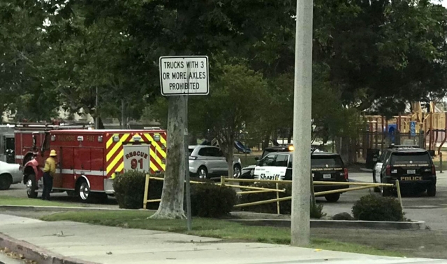 On Tuesday morning, May 11th, Fillmore Police and Fire Department responded to a call about a male on the roof of a baseball dugout at Shiells Park. After approximately three hours authorities coached him down at 10:15am. The man was reportedly taken to the Fillmore Police Station. No further information was available. Photos courtesy Angel Esquivel-AE News.