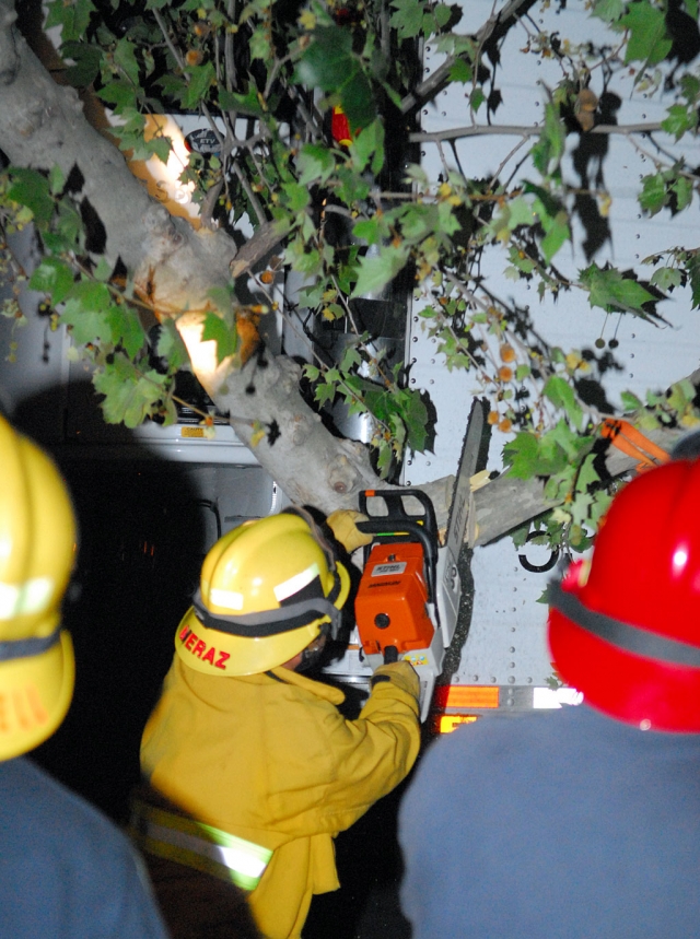 Fillmore Fire Department had to cut a limb from this Sycamore tree to free the trailer. The road was closed for more than an hour.