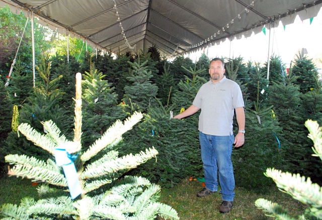 John Holladay is in charge of Christmas tree sales at St. Francis of Assisi Church on Highway 126 and C Street. The trees are watered daily for freshness.