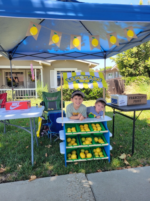 On Saturday, July 19th, brothers Steven & Nico, along with cousins Jake & Enzo, held a lemonade and bake sale from 12:30pm-2:30pm, for summer projects and supplies. Many stopped by for delicious lemonade, cookies, cupcakes, brownies and rice Krispy treats. Photo credit Fillmore Gazette Staff.