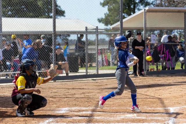 This past weekend Fillmore Youth Softball and T-ball began the Spring 2024 Season. Above is a photo of a 10U Bomb Squad player making a hit as she played Santa Paula at Shiells Park. Below are photos from the Angels vs. Brewers T-ball game which took place at the Fillmore Little League field last weekend. Photo credit Crystal Gurrola. 