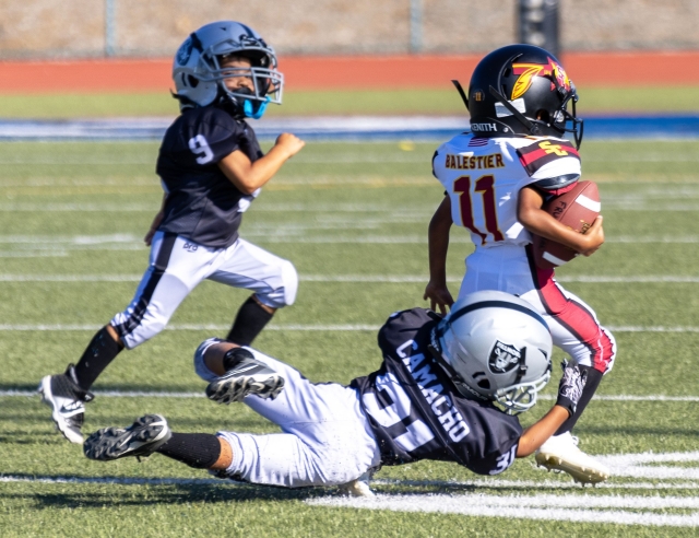 Above is Fillmore Raiders Bantam Silver defense in full effect as they tackle a Ventura player, stopping him in his tracks. Photo credit Crystal Gurrola.