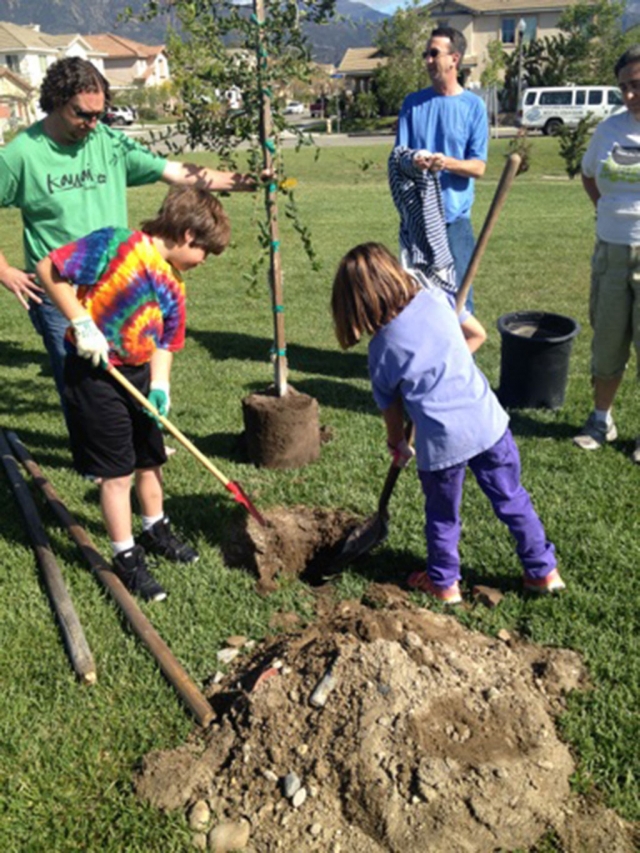 Pictured are 20 citizen volunteers, who planted trees at Burlington Linear Park Saturday.