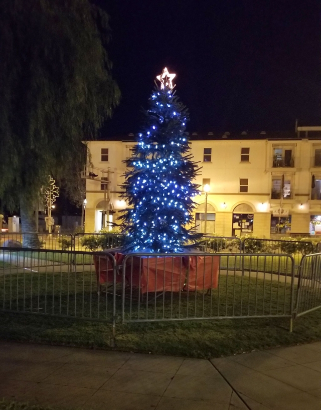 On Monday, December 1st the City of Fillmore hosted their Annual Tree Lighting Ceremony. Due to the COVID-19 pandemic and social distancing guidelines this year’s ceremony was done virtually with Fillmore Mayor Tim Holmgren hosting the event. This year’s tree was donated by Prancers Farm. Visit the City of Fillmore Facebook page to see video.