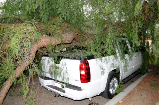 On Monday afternoon, Fillmore Fire responded to a call of a large tree branch falling on a truck in a parking lot at the corner of Sespe Avenue and Fillmore Street. Crews found a white Chevy Silverado truck with a giant Pepper tree branch on top of it. No injuries were reported.