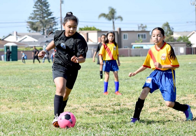 The California United U-11 team continued their winning ways with an impressive 7-0 showcase over Morelia this past weekend. Leading the offense this week was Jadon Rodriguez with a hat trick (3), Fatima Alvarado (pictured above) with 2 goals and 1 assist, while Jessica Rodriguez and Mikayla McKenzie each had 1 goal as well. The defense once again played well as they notched yet another shut out behind goalies Gaby Martinez and Alexis Pina. (pictured below) The California United U-13 boys’ team played this weekend versus Real So. Cal which resulted in a 2-3 loss for CU. Tony De La Cruz and Diego Alcaraz each had 1 goal in the game while Jathon Magana and Adrian Perez had one assist apiece. Submitted By Coach Tony Hernandez.