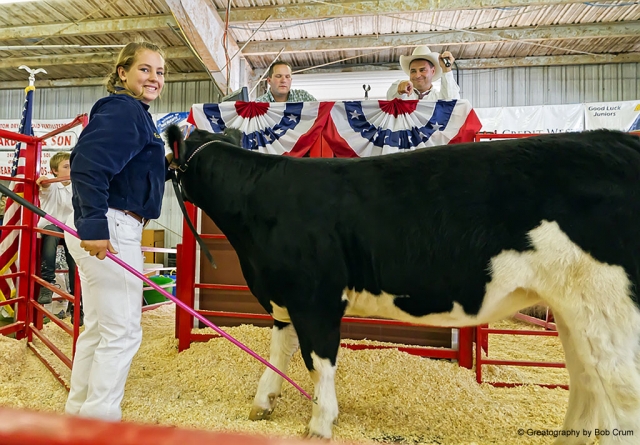 Macie Wokal stands by her winning FFA Grand Champion Replacement Heifer “Bambi”. Photos by Bob Crum.