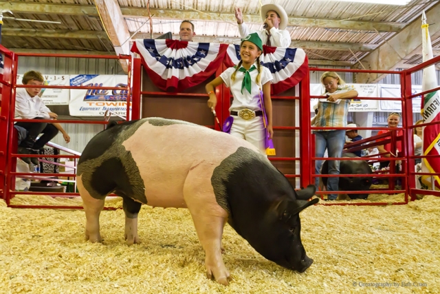 Tori Gonzales with Gee G, Grand Champion and Bred and Fed Champion Swine.
