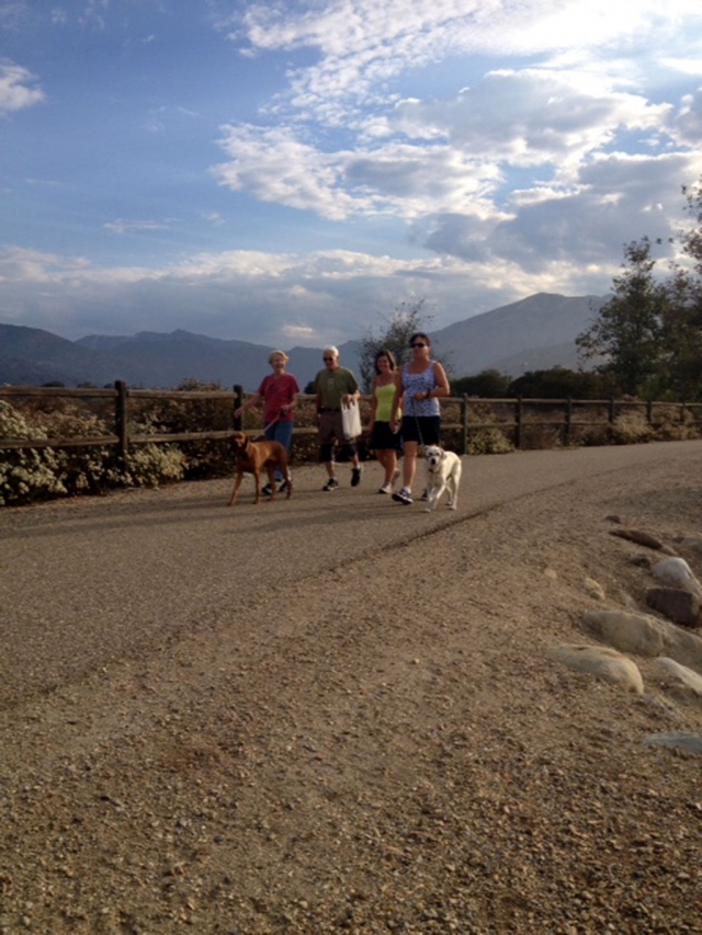 Pictured on their Monday thru Friday walk are (l-r) Jolene Stehem, Tasha-4 year old Bizsla, Jack Stethem, Susan Berdahl, Susan Wilson, and Rylee with 8 y-ear old white Labrador Retriever.