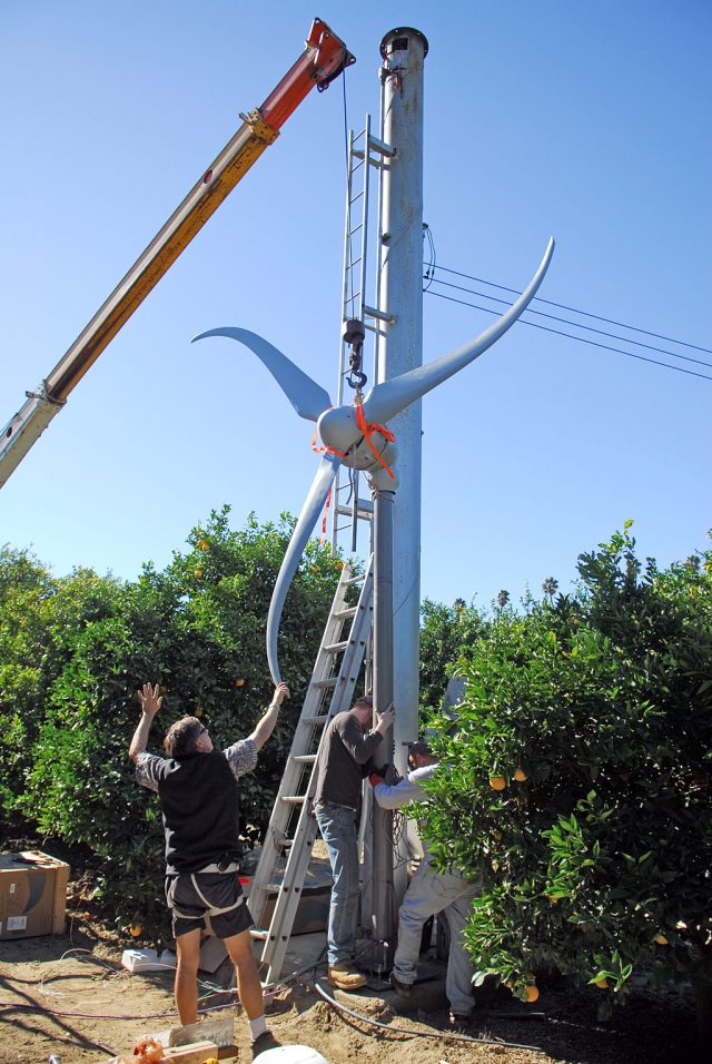 Bob Hammond succeeds in converting his orchard wind machine into a wind generator. Above, Bob Hayes, of
Prevailing Wind Power of Redondo Beach, guides the crane operator as the new generator, prop, and extension
are hoisted atop what was once a wind machine tower in Hammond’s Bardsdale orange grove. Story will
appear in next week’s Gazette.