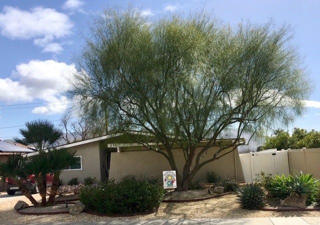 Fillmore Civic Pride Volunteers have selected the 2023 March Yard of the Month winners, John and Carol Ramos, whose beautiful home pictured above sits on Second Street in Fillmore. Photo courtesy Linda Nunes.