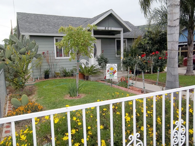 The Civic Pride / Vision 20-20 Committee recognizes 801 3rd street in Fillmore as this months, (April) Yard of the Month. 801 3rd street is located in North Fillmore, and the home is lined with beautiful yellow daisy’s, and Big Queen Anne Plams in the front yard. There are 8 four foot Rose Trees leading you up to the front door. Congratulations to 801 3rd Street for winning April’s, 2011 Yard of the Month.