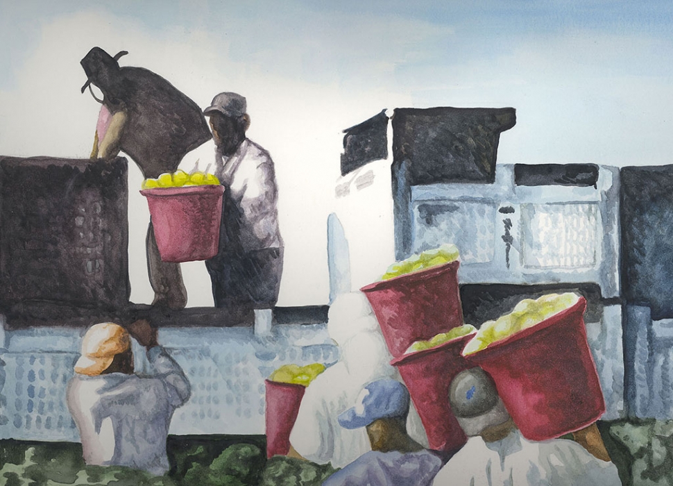 “Farmworkers Loading Pears” by Michael Torres, watercolor on paper, 16” x 20”, Collection of the artist.