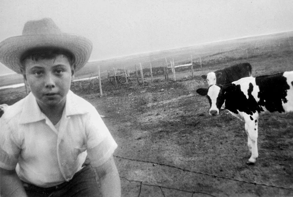 DeWayne Boccali and Cow, c. 1950, Boccali Family Archive