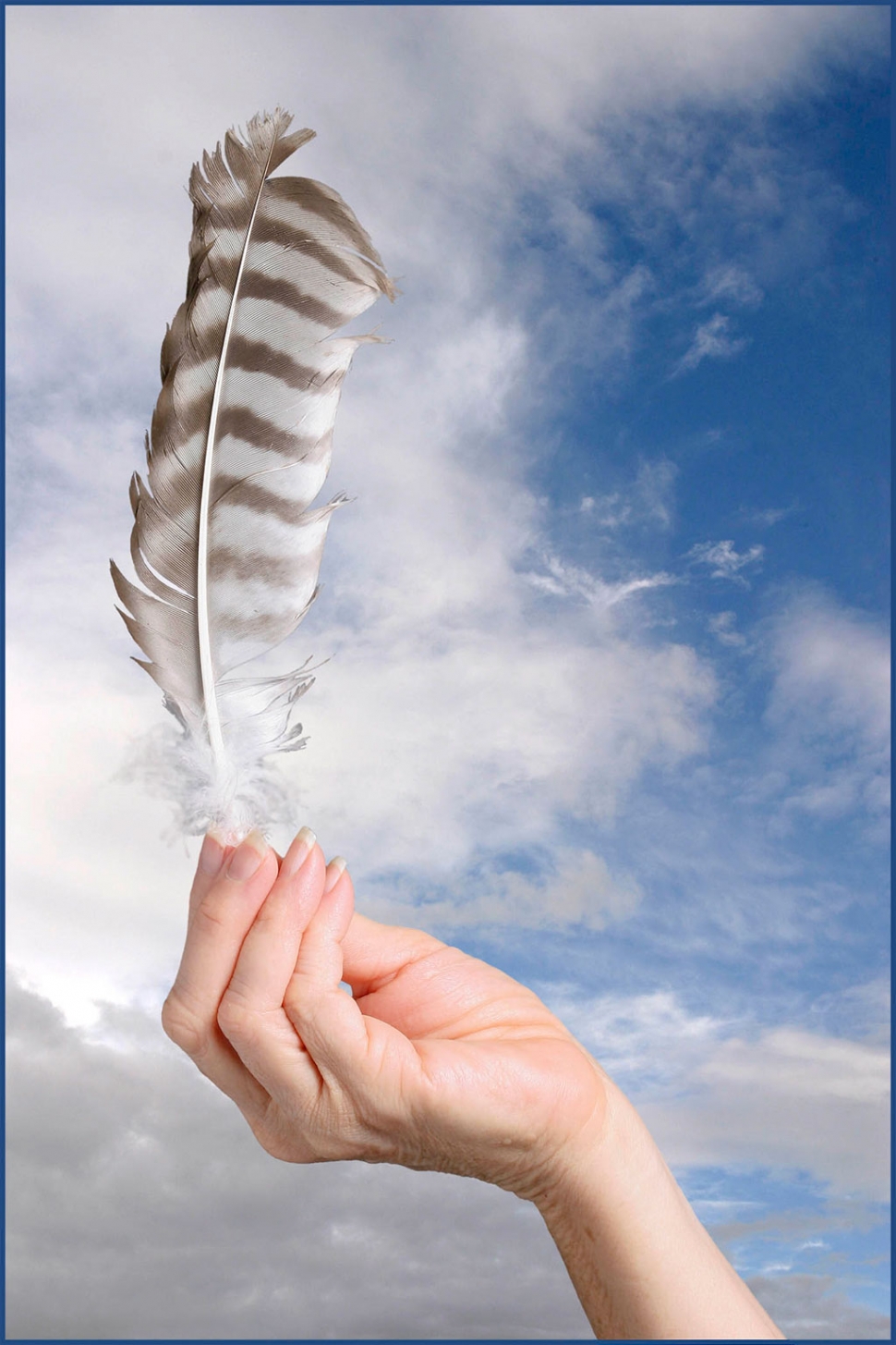 "Hawk Feather" by Photographer Roger Conrad